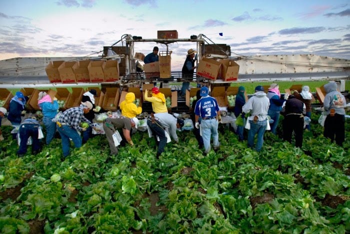 rpna-secures-california-farm-labor-contractors-right-to-self-insure